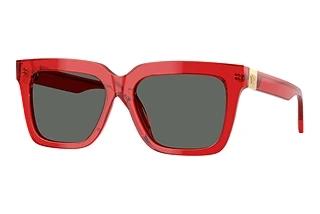Versace VE 4498 528087
