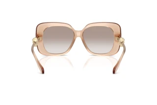 Vue arrière Versace VE4499U (55386E)