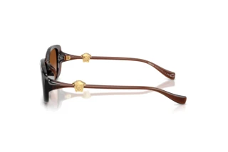 Vue latérale Versace VE4504D (533213)