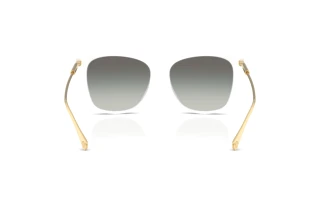 Vue arrière Versace VE4507U (314/11)