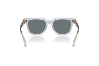 Vue arrière Versace VE4510U (530580)