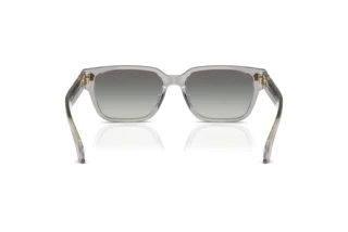 Vue arrière Versace VE4513D (593/11)