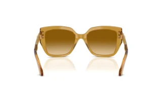 Vue arrière Versace VE4517U (53472L)