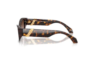 Vue latérale Versace VE4520U (108/13)