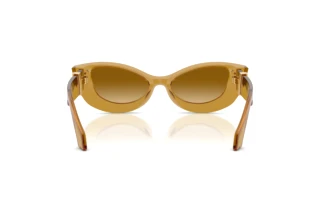 Vue arrière Versace VE4520U (53472L)