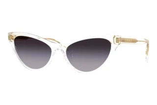 Vue de face Versace VE4522U (148/8G)