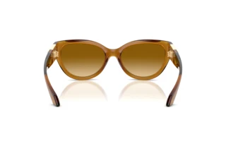Vue arrière Versace VE4524U (53472L)