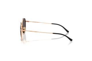 Vue latérale Vogue Eyewear VJ1002 (515287)