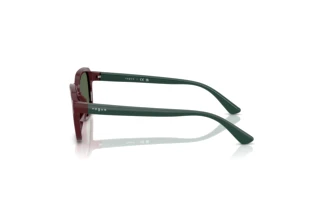 Vue latérale Vogue Eyewear VJ2025 (247371)