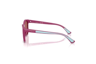 Vue latérale Vogue Eyewear VJ2028 (321169)