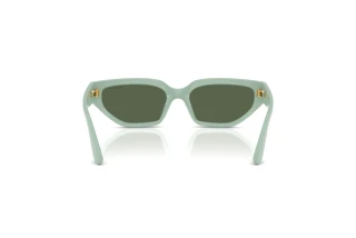 Vue arrière Vogue Eyewear VJ2029 (320571)