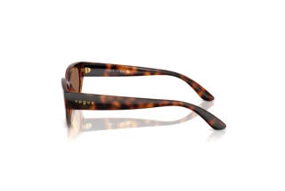 Vue latérale Vogue Eyewear VJ2029 (W65673)