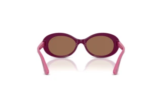 Vue arrière Vogue Eyewear VJ2032 (321373)