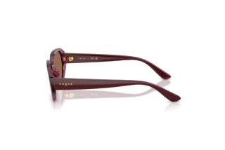 Vue latérale Vogue Eyewear VJ2034 (327173)