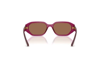 Vue arrière Vogue Eyewear VJ2034 (327173)
