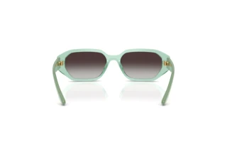 Vue arrière Vogue Eyewear VJ2034 (32748G)