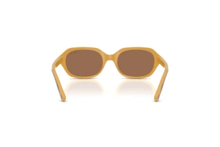 Vue arrière Vogue Eyewear VJ2035 (327373)