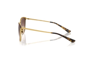 Vue latérale Vogue Eyewear VO4002S (507813)