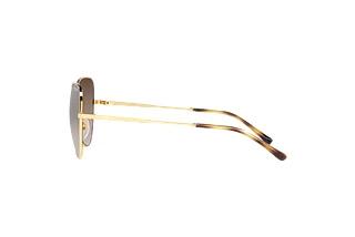 Vue latérale Vogue Eyewear VO4255S (280/13)