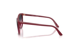 Vue latérale Vogue Eyewear VO5230S (287590)