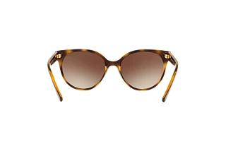 Vue arrière Vogue Eyewear VO5246S (W65613)