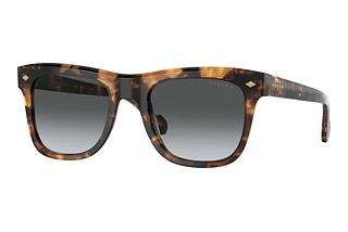 Vogue Eyewear VO5465S 2819T3 Gradient Dark Grey PolarHavana Honey