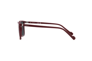 Vue latérale Vogue Eyewear VO5493S (304887)