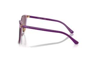 Vue latérale Vogue Eyewear VO5537SD (29228H)