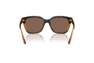 Vue arrière Vogue Eyewear VO5558S (313473)