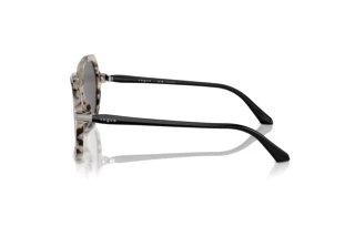 Vue latérale Vogue Eyewear VO5561S (307681)