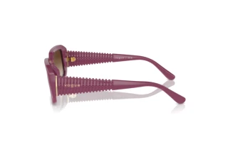 Vue latérale Vogue Eyewear VO5565S (312313)