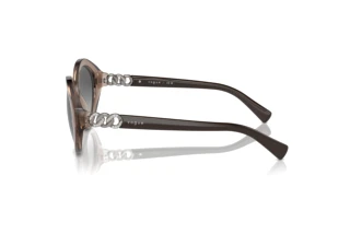 Vue latérale Vogue Eyewear VO5576SB (294011)