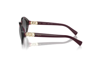 Vue latérale Vogue Eyewear VO5576SB (2989T3)