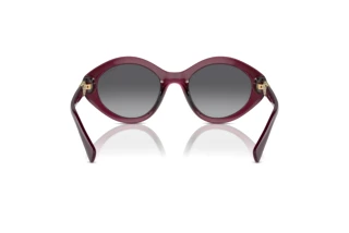 Vue arrière Vogue Eyewear VO5576SB (2989T3)