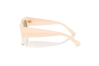 Vue latérale Vogue Eyewear VO5583S (316482)