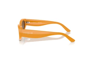 Vue latérale Vogue Eyewear VO5585S (315973)