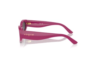 Vue latérale Vogue Eyewear VO5585S (316087)