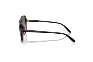 Vue latérale Vogue Eyewear VO5601S (298911)
