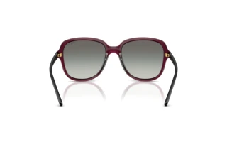 Vue arrière Vogue Eyewear VO5601S (298911)