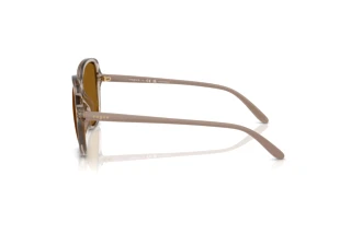 Vue latérale Vogue Eyewear VO5601S (299083)