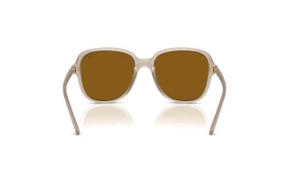 Vue arrière Vogue Eyewear VO5601S (299083)