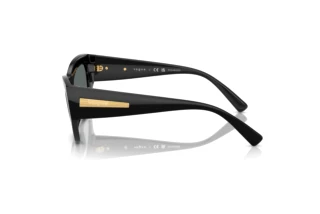 Vue latérale Vogue Eyewear VO5607S (W44/81)