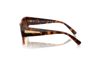 Vue latérale Vogue Eyewear VO5607S (W65613)