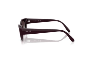 Vue latérale Vogue Eyewear VO5616S (24268G)