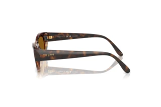 Vue latérale Vogue Eyewear VO5616S (271883)