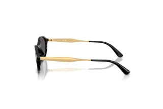 Vue latérale Vogue Eyewear VO5625S (W44/87)