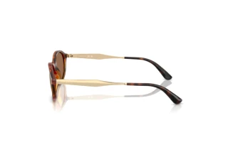 Vue latérale Vogue Eyewear VO5625S (W65673)