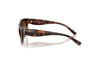 Vue latérale Vogue Eyewear VO5629S (271813)