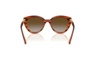 Vue arrière Vogue Eyewear VO5634SB (1508T5)