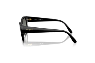 Vue latérale Vogue Eyewear VO5638SU (W44/11)